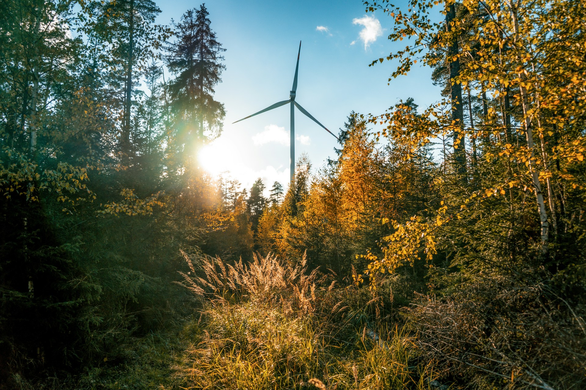 renewable energy